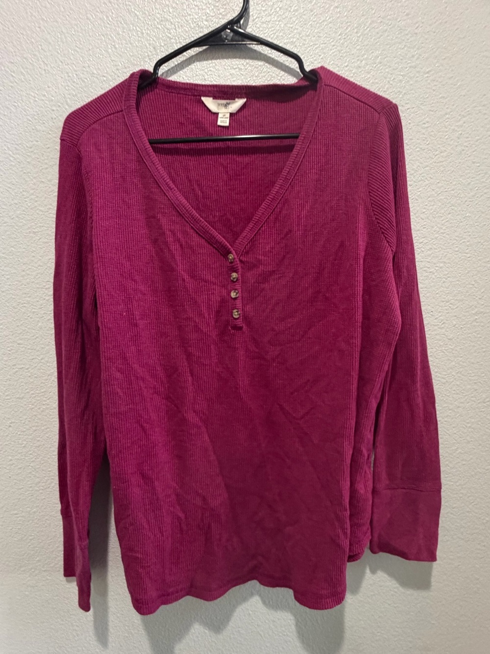 Terra & Sky Long-Sleeve Henley Top in Raspberry size 1X
